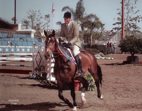 Archie Cox and Diadem owned by Erin Chiamulon Winner $15,000 Del Mar Equitation Classic 2002 Del Mar National Photo Quince Tree