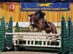 John French and Fine Design owned by Laura Wasserman Regular Conformation Hunter 2015 Pennsylvania National Photo Al Cook