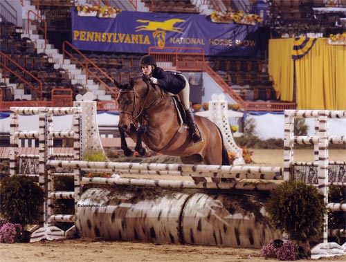 Nicole Hasteltine and Vedette Amateur Owner Hunters 2009 Pennsylvania National Photo Al Cook