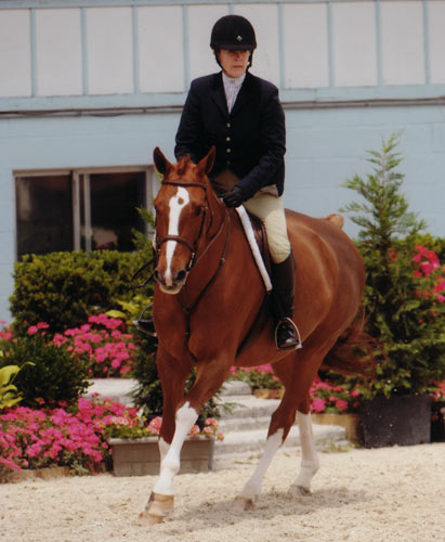 Polly Sweeney and Duet Amateur/Owner Hunter 36 & Over 2012 Devon Horse Show Photo the Book LLC