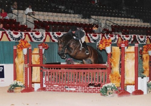 Quality Time owned by Laura Wasserman 2006 USEF National Champion Green Conformation Hunters Photo ONeills