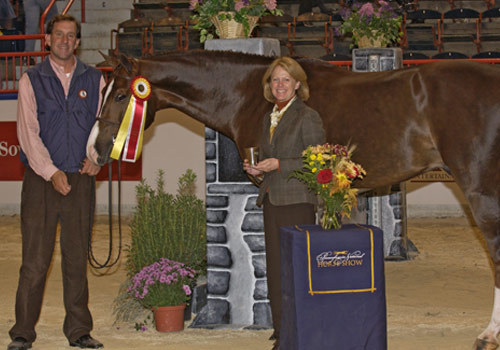 Andiamo owned by Janie Andrew Reserve Champion 2nd Year Green Hunter 2007 Pennsylvania National Photo Randi Muster