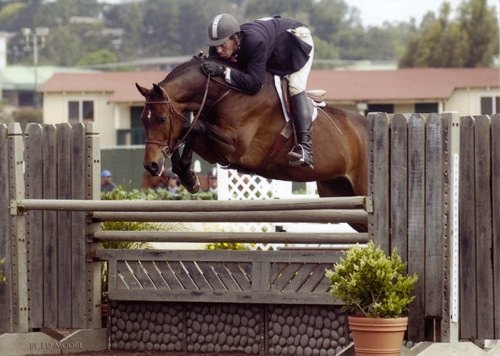 Archie Cox and Quality Time owned by Laura Wasserman Regular Conformation Hunter Champions 2007 Del Mar National Photo Ed Moore