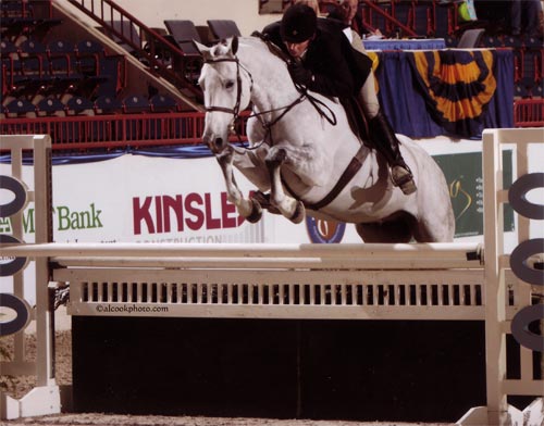 Archie Cox and Zivago owned by Wilder Mountain LLC 2nd Year Green 2011 Pennsylvania National Photo Al Cook