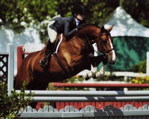 Ashley Pryde and Falcao owned by Brook Flynn Champion Small Junior Hunters 16-17 2009 Menlo Photo JumpShot