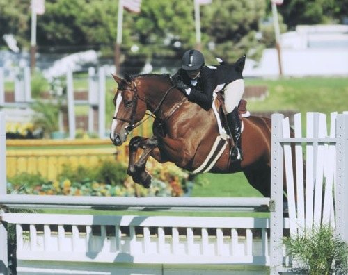 Ashley Pryde and Perfection 2007 Oaks Blenheim Small Junior Hunters 15 and Under Photo by JumpShot