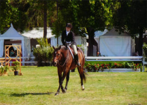 Ashley Pryde and Truly Grand Champion A/O Hunter 2012 Menlo Charity Horse Show Photo Bella Peyser