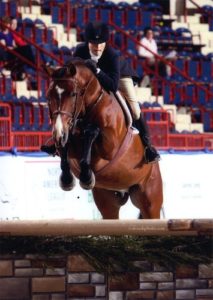 Montague owned by Lily Blavin 2012 National Silver Stirrup Performance Horse Champion Conformation Hunters Photo Al Cook