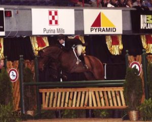 Virginia Fout and Classified A/O Hunters 36 & Over 2008 Syracuse Invitational Photo Reflections