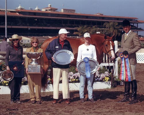 Archie owned by Anchor Farm and Alison Foto Agley Champion Regular Working Hunter 2001 Del Mar National Photo Quince Tree