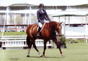 Ashley Pryde and Pringle Champion Small Junior Hunters 16-17 2009 Blenheim Spring Photo Captured Moment Photography