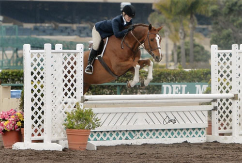 Polly Sweeney and Duet Champion Adult Amateur Hunter 51 & Over Best Adult Rider 2013 Del Mar National Photo Osteen