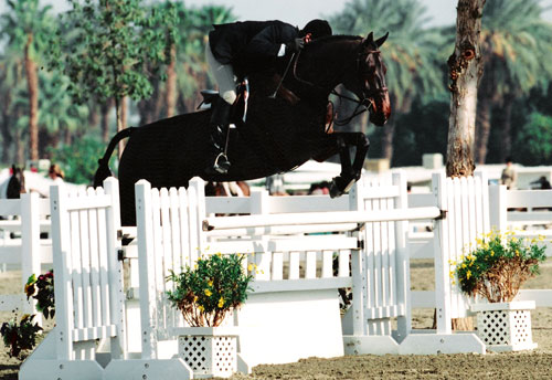 Archie Cox and Dorencord owned by Christina Doren Regular Working Hunter and Adult Equitation Divisions