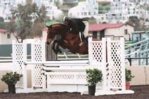 Archie Cox and White Oak owned by Delanie Stone Winner Second Year Green and Regular Conformation Hunters 2007 Del Mar National Photo Cathrin Cammett