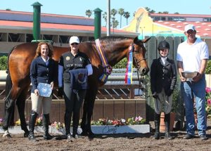 Hunter Siebel and Cafe de Colombia with Archie Cox Caerrie Robinson and Stacey Siebel Champion Large Junior Hunter 15 & Under 2014 Del Mar National Photo Osteen