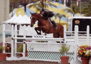 Richard Boh and Mittler owned by Archie Cox High Performance Hunter 2012 Del Mar National Photo Osteen