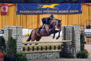 Virginia Fout and Classified Amateur Owner Hunter 2015 Pennsylvania National Photo Al Cook