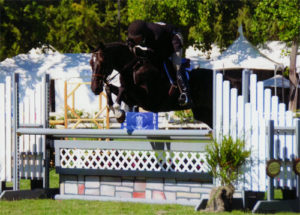 Archie Cox and Couture Couture owned by Bella Peyser 3'6" Performance Hunters 2012 Menlo Charity Horse Show Photo Bella Peyser