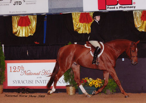 Ashley Pryde and Pringle Small Junior Hunter 125th National Horse Show at Syracuse Invitational 2008 Photo Reflections