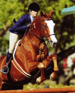 Clearly Canadian owned by Jessica Hagen Top Ribbons Large Junior Hunters 2007 Oaks Blenheim Photo by JumpShot