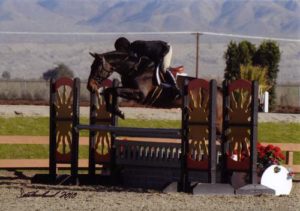 John French and Victory Road owned by Ashley Pryde Circuit Champion First Year Green Hunters 2010 HITS Desert Circuit Photo Flying Horse