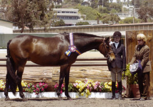 Lucy Davis and Harmony owned by Old Oak Farm Large Junior Hunter Champion 14 & Under 2006 Del Mar National Photo Ed Moore