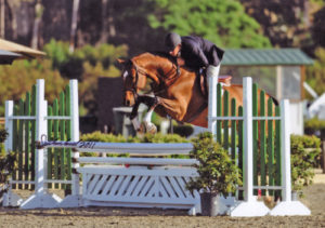 Archie Cox and Back In The Game owned by Laura Wasserman 2011 Blenheim Photo Flying Horse