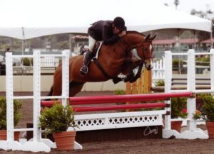 Archie Cox and Equity owned by Gina Ross 3'3" Pregreen Hunter 2012 Del Mar National Photo Osteen