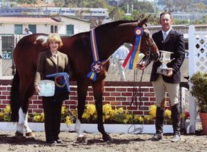 Archie Cox and Cullen owned by Annette Peterfly Champion 1st Year Green Conformation Hunters 2010 Del Mar National Photo Osteen