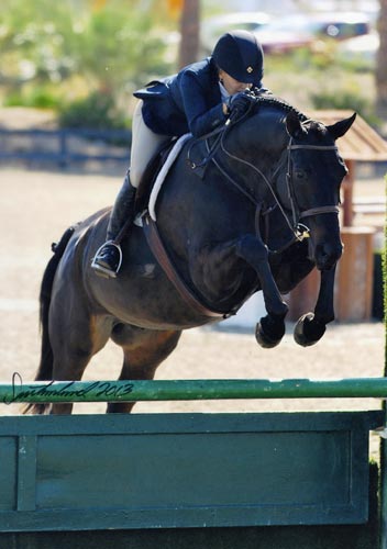 Laura Wasserman and Thoughtful Amateur Owner Hunter 2013 HITS Desert Circuit Photo Flying Horse