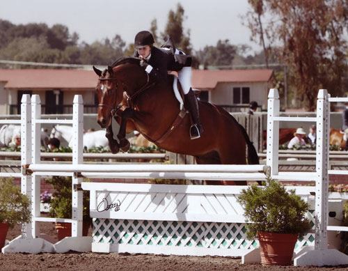 Shelby Wakeman and Quality Time Large Junior Hunters 2008 Del Mar National Photo Osteen