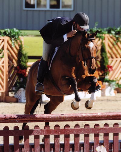Archie Cox and Back in the Game owned by Laura Wasserman 2011 HITS Desert Circuit Photo Flying Horse