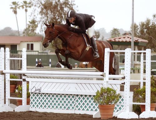 Archie Cox and Granted 2008 Del Mar National Photo Osteen