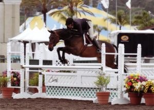 Archie Cox and Victory Road owned by Harriet Posner Champion Regular Conformation Hunter 2012 Del Mar National Photo Osteen