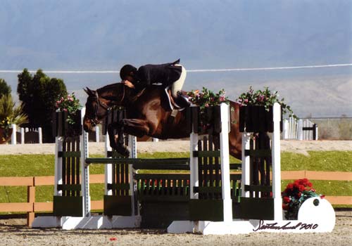 John French and After Five owned by Stephanie Danhakl Champion First Year Green Hunters 2010 HITS Desert Circuit Photo Flying Horse