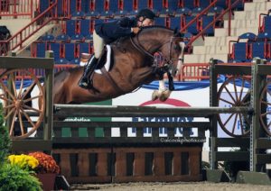 John French and Fine Design owned by Laura Wasserman Regular Conformation Hunter 2015 Pennsylvania National Photo Al Cook
