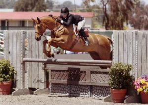 Ashley Pryde and Pringle Grand Champion Small Junior Hunters 2010 Del Mar National Photo Osteen
