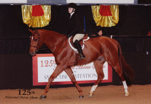 Ashley Pryde and Pringle Small Junior Hunters 125th National Horse Show at Syracuse Invitational 2008 Photo Reflections