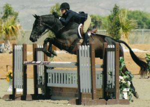 Laura Ware and Parker 2008 HITS Desert Circuit Photo Flying Horse