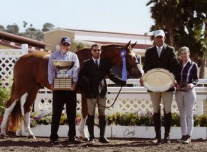 Nick Haness and Banderas owned by Ecole Lathrop Champion High Performance Hunter 2014 Del Mar National Photo Osteen