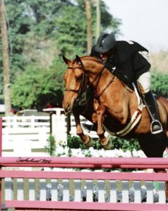 Archie Cox and Show of Hands 2006 HITS Desert Circuit First Year Green Working Hunters Photo Flying Horse