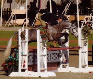 Archie Cox on Glenview owned by Stephanie Danhakl Champion Green Conformation Hunters 2009 HITS Desert Circuit Photo Flying Horse