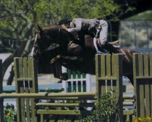 John French and Andiamo owned by Janie Andrew 2007 Champion 2nd Year Green Hunters Photo Jumpshot