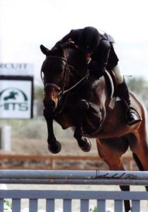 John French and Victory Road owned by Ashley Pryde 2010 HITS Desert Circuit Champion First Year Green Hunters Photo Flying Horse