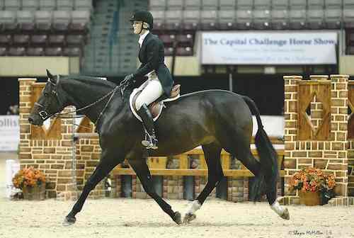 Montana Coady and Ranger Amateur Owner Hunter 3'6" 18-35 2014 Capital Challenge Photo by McMillen