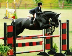 Nicole Husky has joined Brookway Stables each Fall Successfully competes in the USEF Medal Finals and the ASPCA Maclay Finals