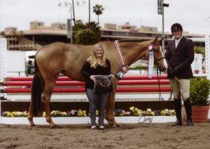 Archie Cox and Adele owned by Woodvale Inc Champion 3'3" Pregreen Hunter 2012 Del Mar National Photo Osteen