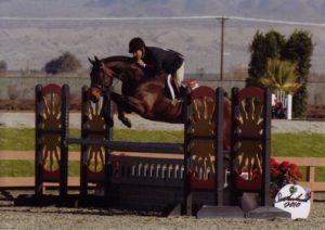 John French and After Five owned by Stephanie Danhakl 1st Year Green Working Hunters 2010 HITS Desert Circuit Photo Flying Horse