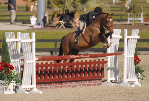 Laura Wasserman and Back in the Game Reserve Champion Amateur Hunters 36 & Over 2011 HITS Desert Circuit Photo Flying Horse