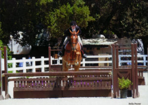 Jessica Singer and Cabo Z Adult Hunter 2012 Menlo Charity Horse Show Photo Bella Peyser